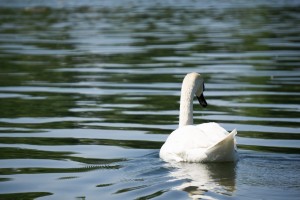 Rowing Challenge 20160507-16