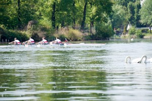 Rowing Challenge 20160507-77