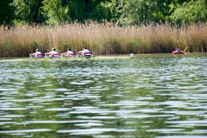 Rowing Challenge 20160507-95